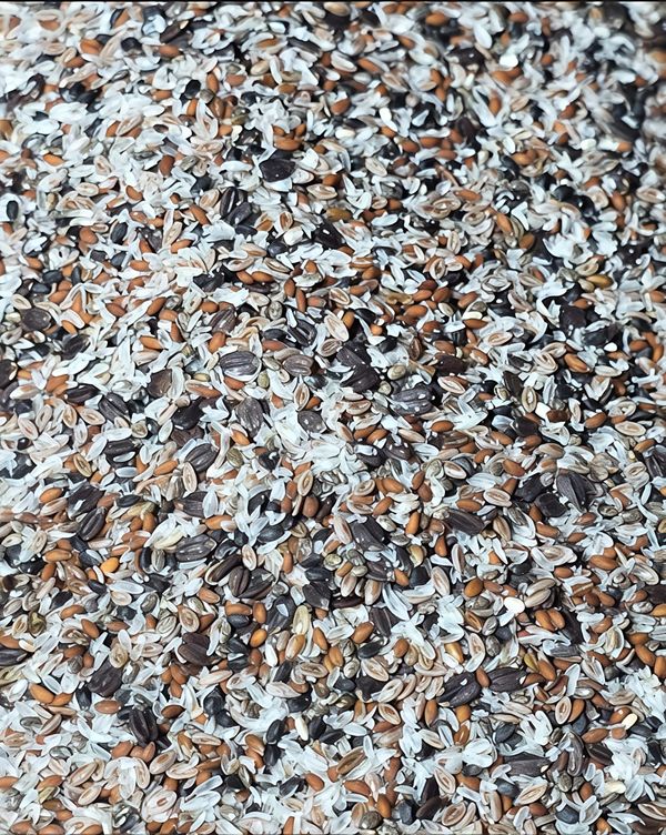 সিড মিক্স ( Seed Mix ) – 500gm - Image 4