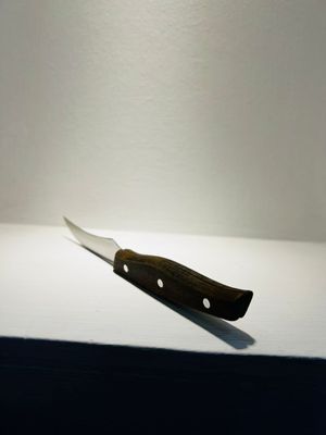 3pcs Pairing Knife Set_img_4