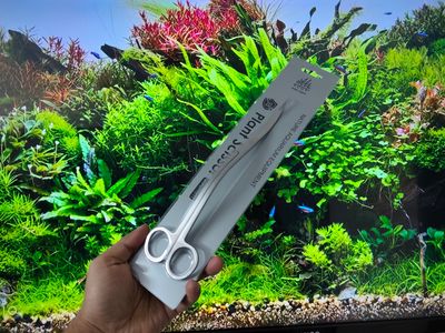 week aqua aquascape tools_img_3