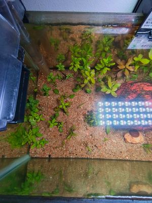 Rs L13 full spectrum led light_img_2