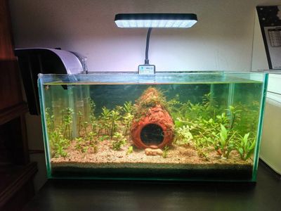 Rs L13 full spectrum led light_img_1