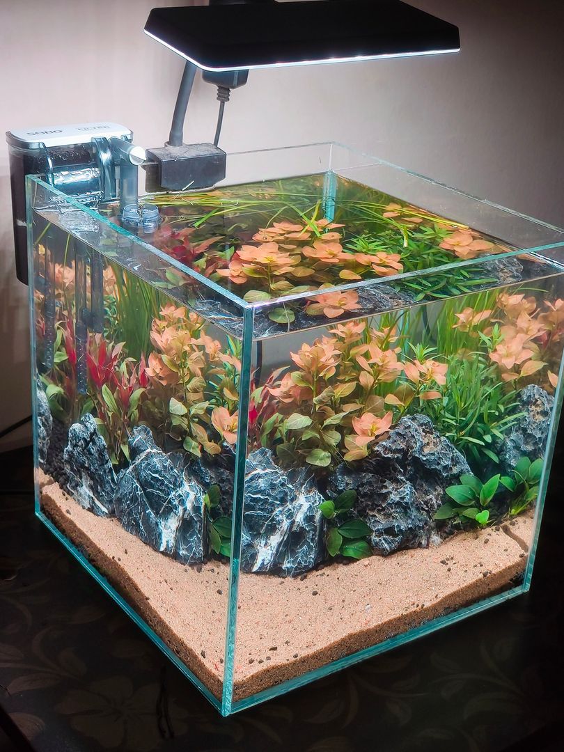 Simple. Natural. Beautiful