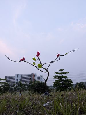 Artificial বনসাই গাছ_img_2