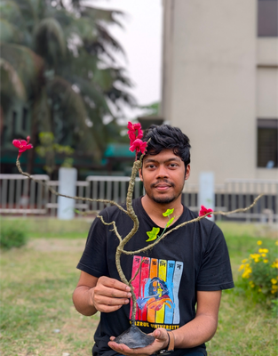 Artificial বনসাই গাছ_img_0