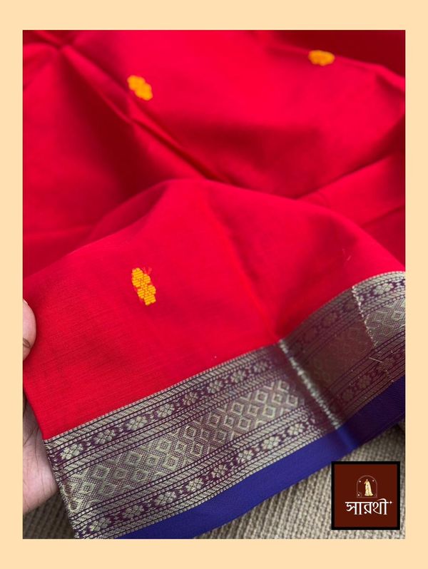 রাজেশ্বরী