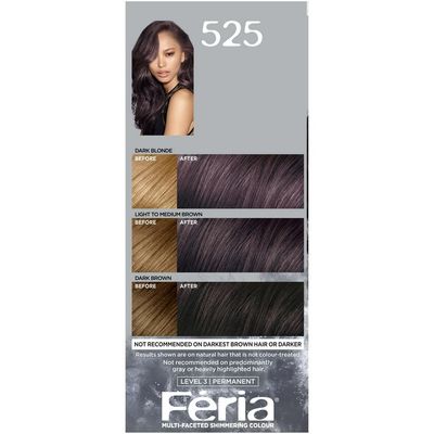 L'Oreal Paris Feria Permanent Hair Color, 525 Purple Smoke_img_2