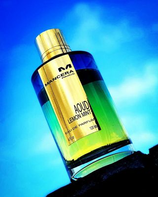 MANCERA AOUD LEMON MINT EDP 120ML FOR UNISEX_img_1