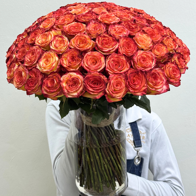 100pcs Highmag Vase_img_0