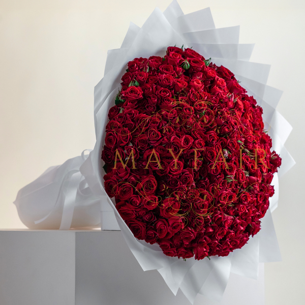 100pcs Red Baby Rose