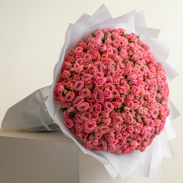 100pcs Pink Baby Rose Bouquet