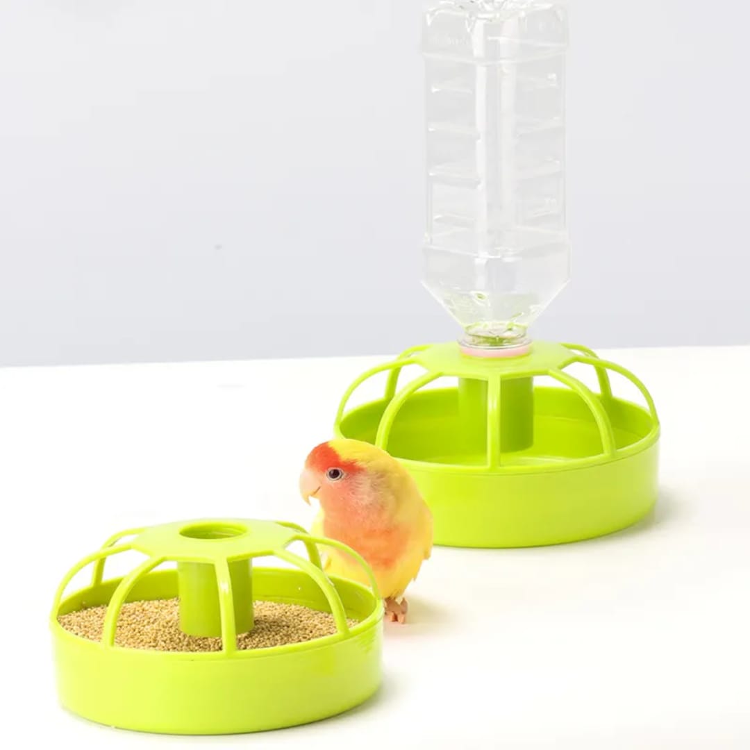 Bird's Food And Water bowl._img_5