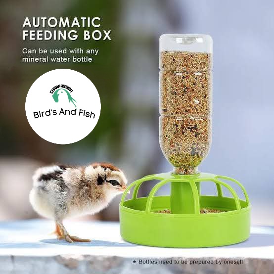 Bird's Food And Water bowl._img_1