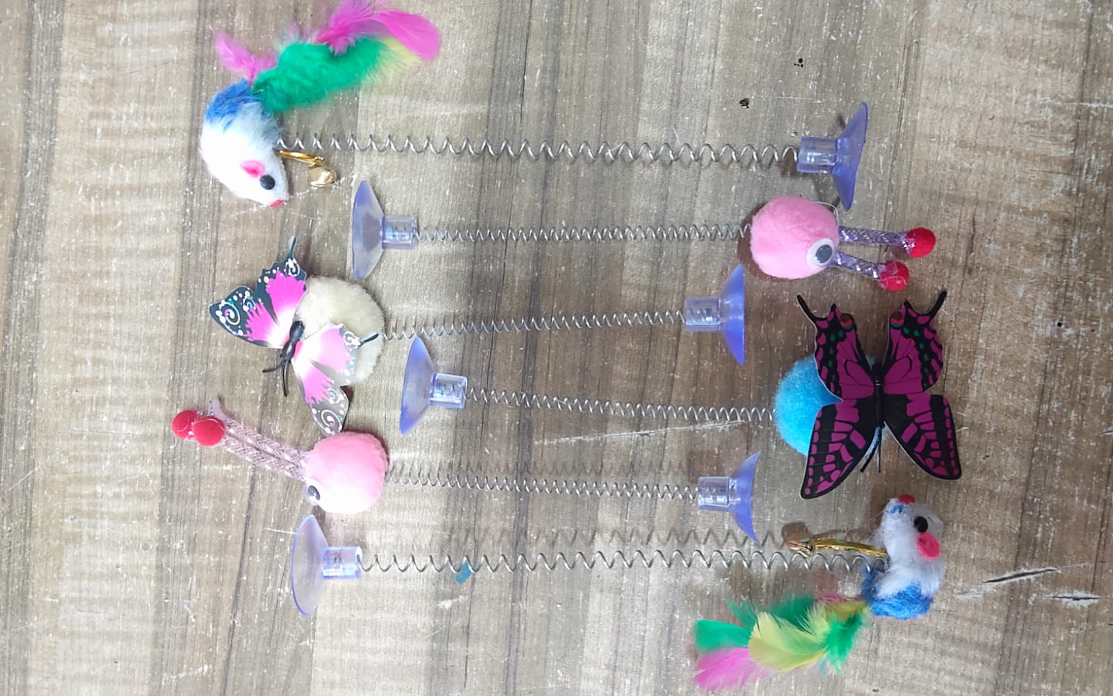 Butterfly, Mouse ও Rabbit_img_5