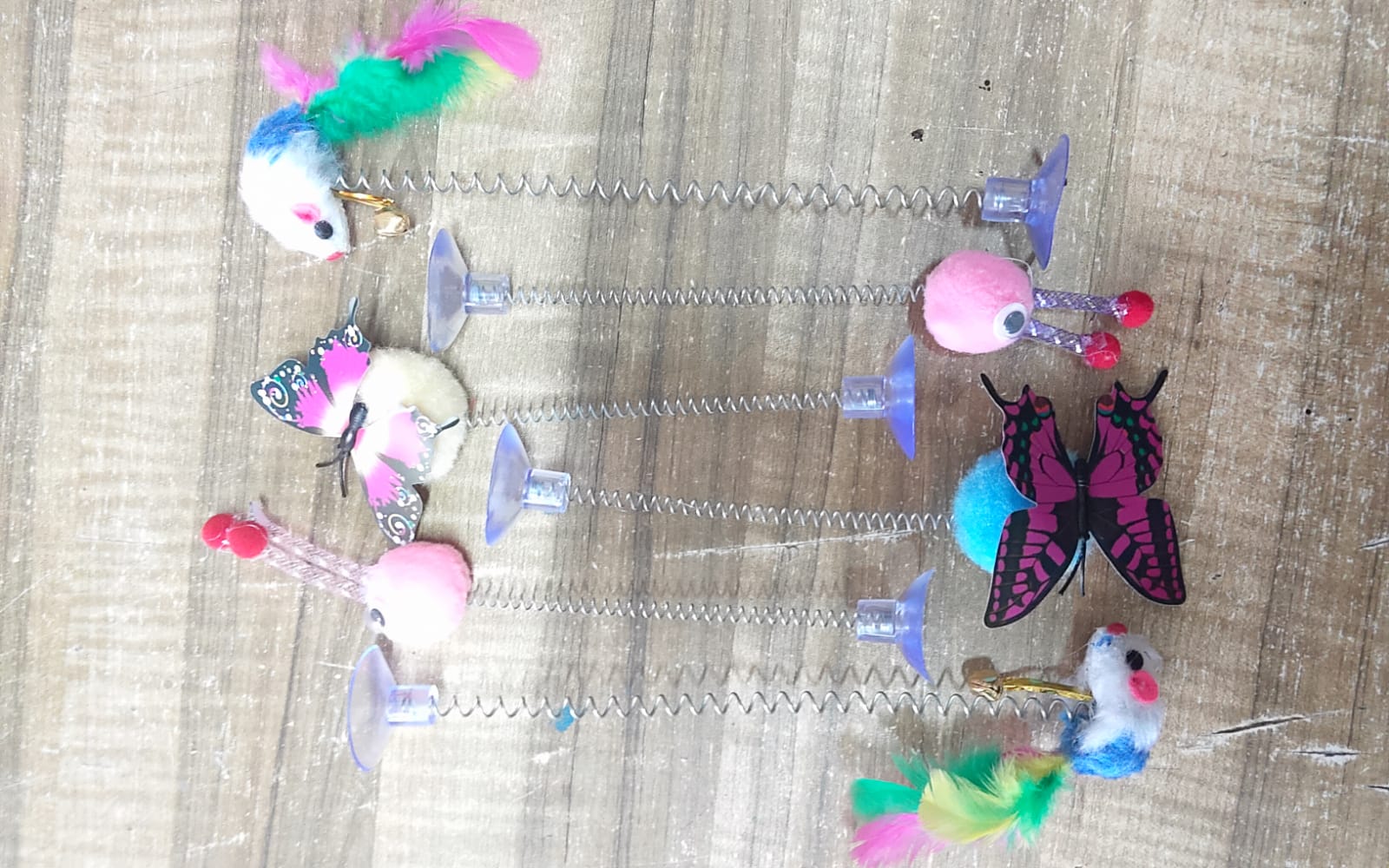 Butterfly, Mouse ও Rabbit_img_4