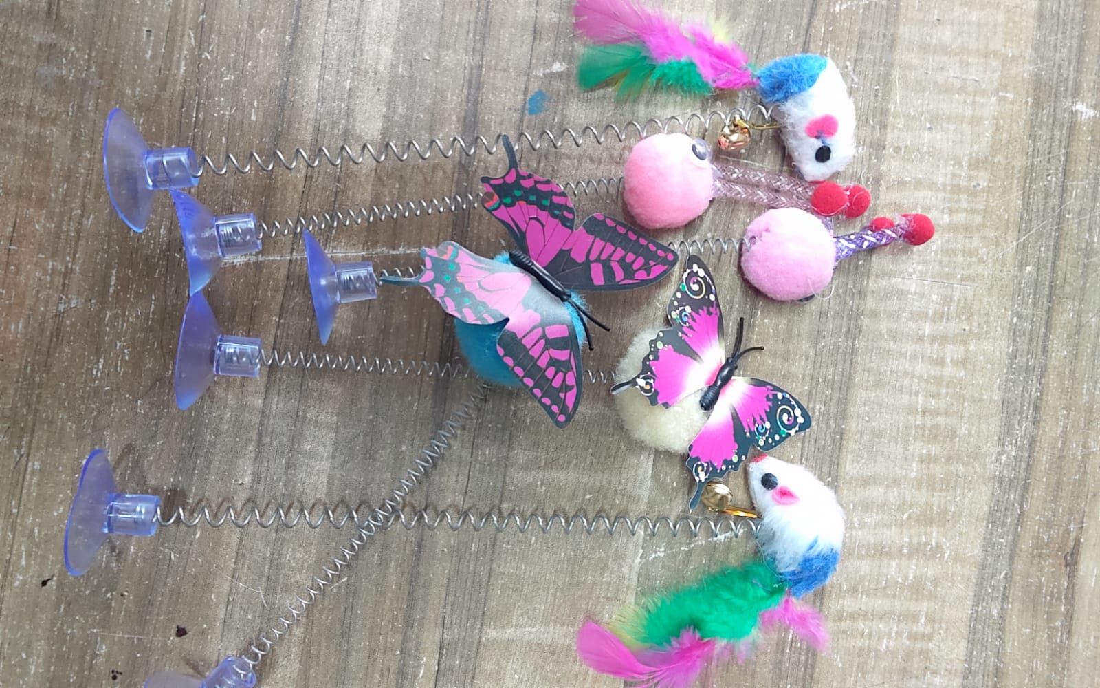 Butterfly, Mouse ও Rabbit_img_2