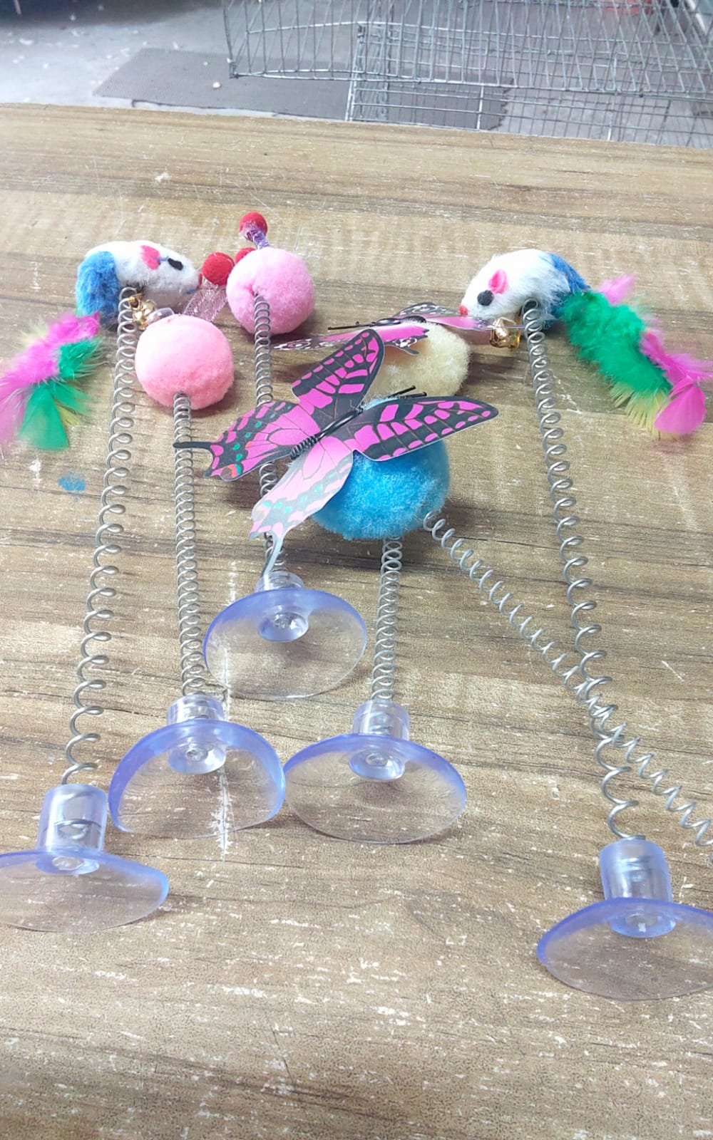 Butterfly, Mouse ও Rabbit_img_3