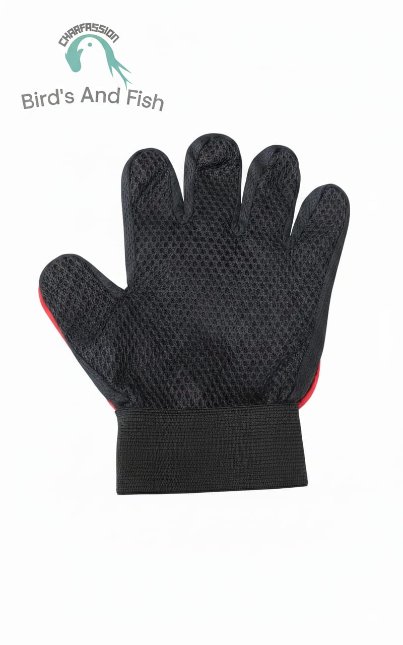 Pet Hair Removing Hand Gloves – For Cat & Dog_img_1