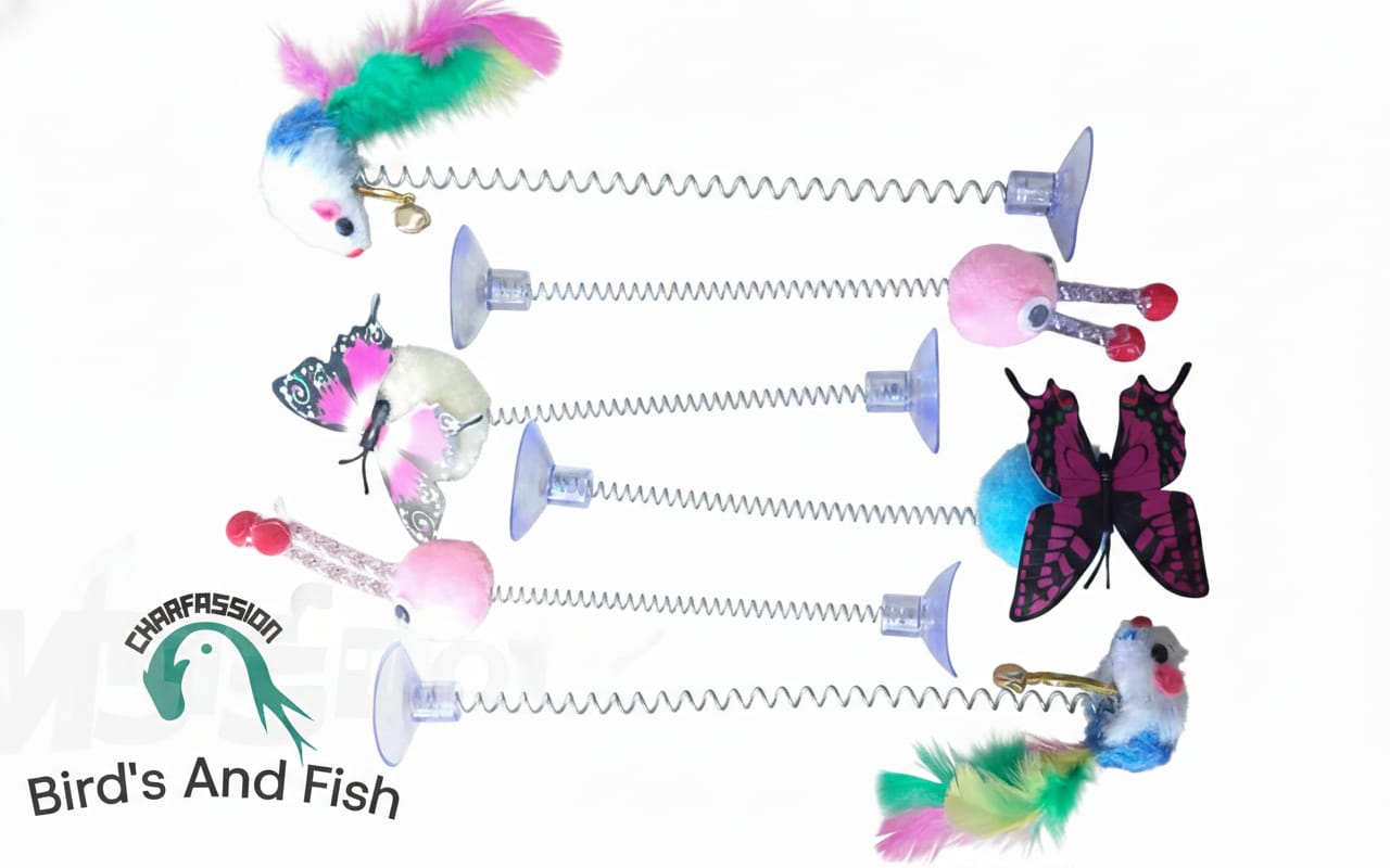 Butterfly, Mouse ও Rabbit_img_1