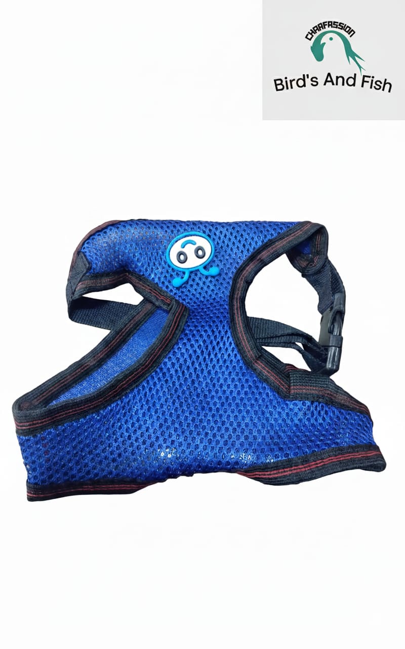 Cat Harness / Pet Belt / Jacket Vest_img_2