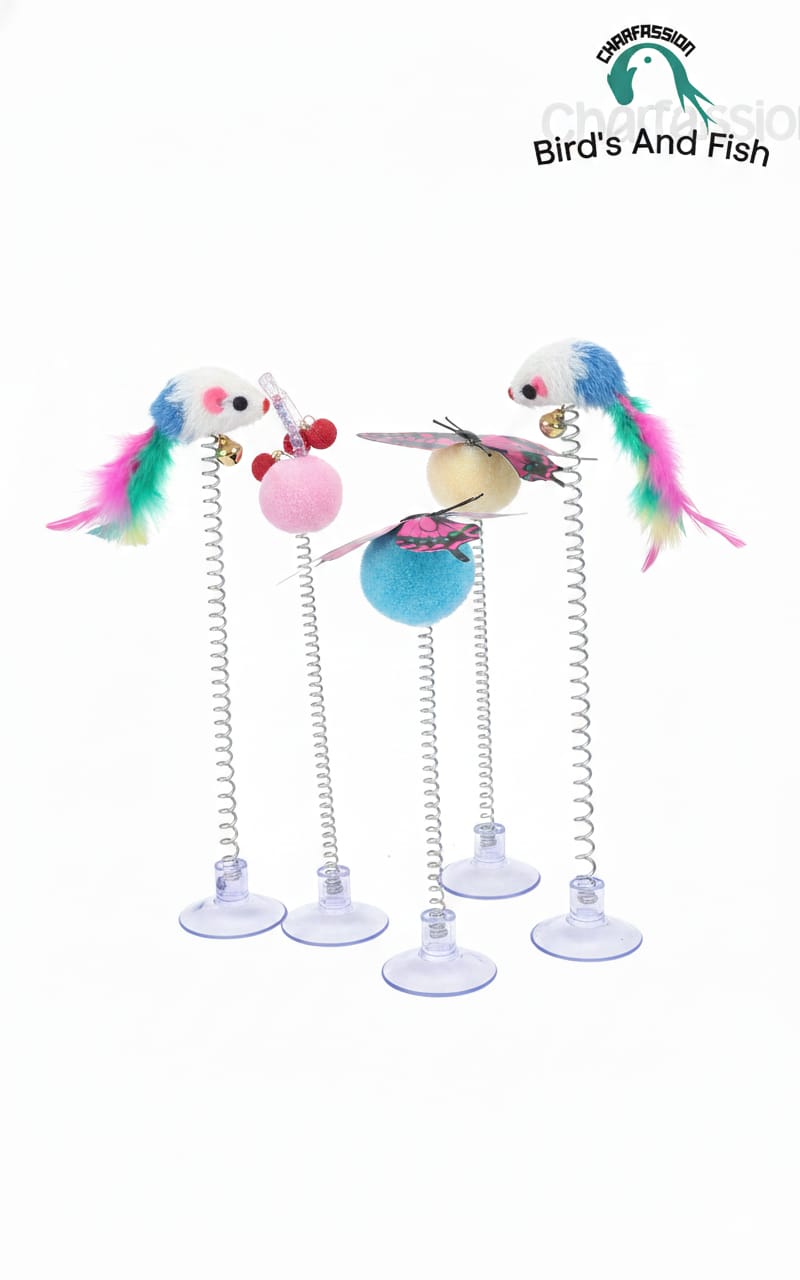 Butterfly, Mouse ও Rabbit