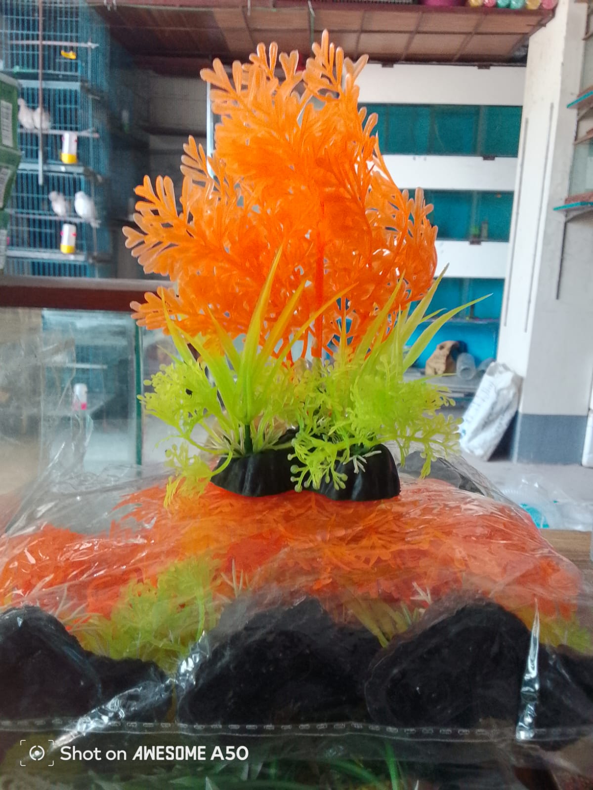 Aquarium Artificial Plant (প্লাস্টিক গাছ)