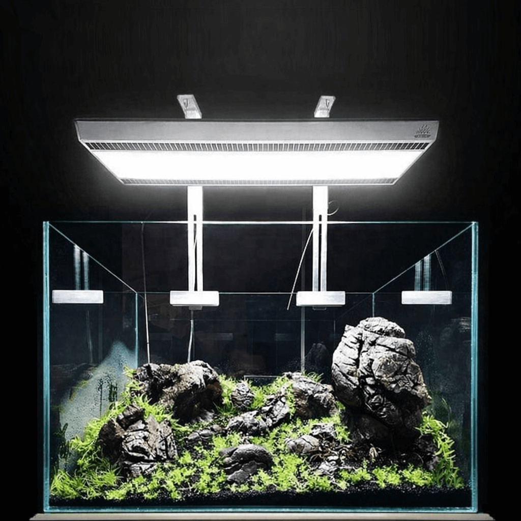 Aquarium light