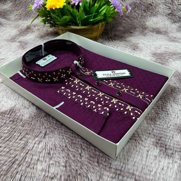 Embroidery Sequence Panjabi