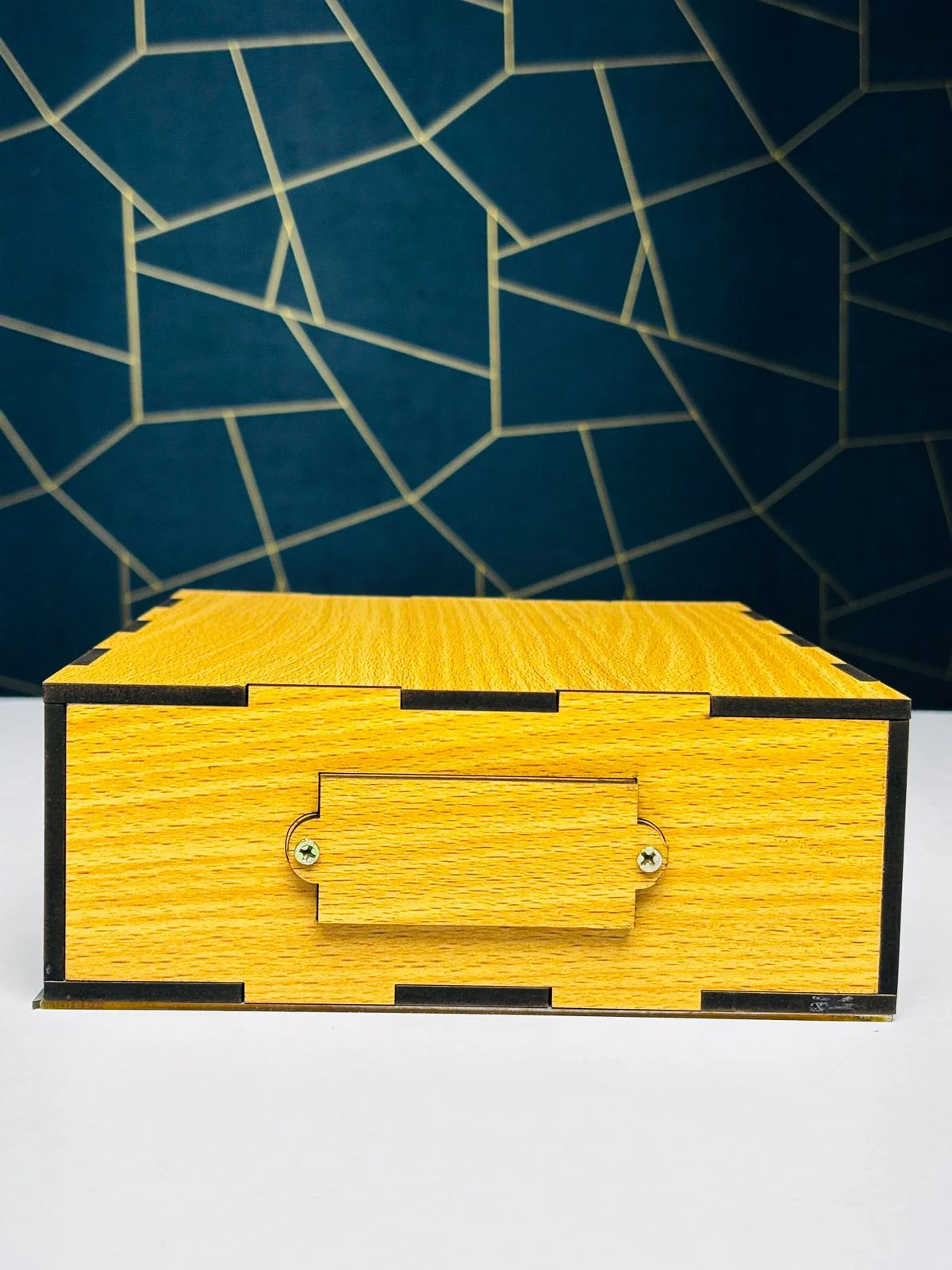 Wooden Money Saving Box (Piggy Bank)_img_1