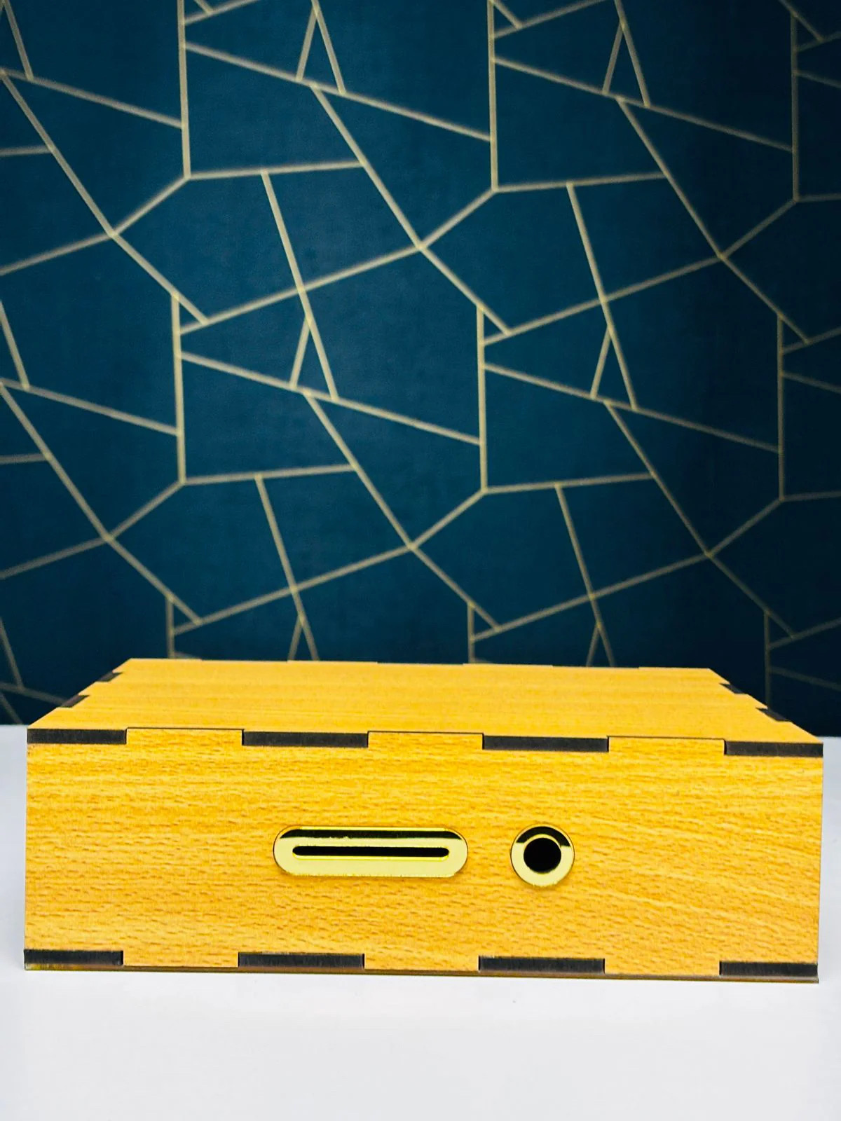 Wooden Money Saving Box (Piggy Bank)_img_2