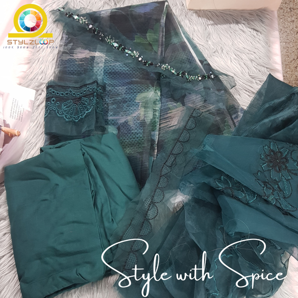 Nureh-4 | Festive | COCO LOVE (4 Piece) Imported from PAKISTAN - Image 4