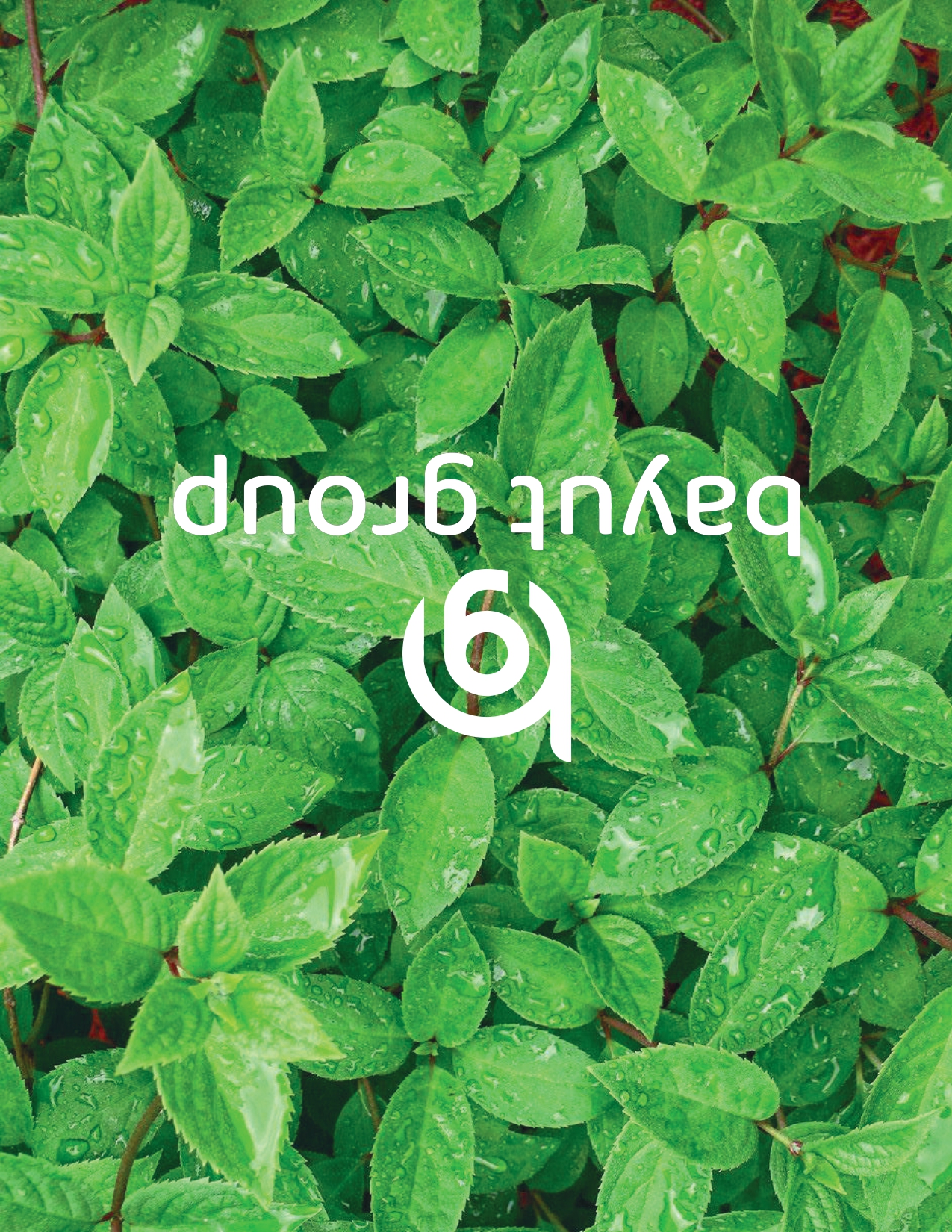 𝐏𝐮𝐫𝐛𝐚𝐜𝐡𝐚𝐥 𝐃𝐞𝐟𝐞𝐧𝐜𝐞 𝐂𝐢𝐭𝐲_img_0