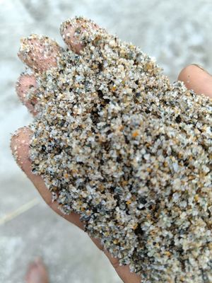 2.5 fm সিলেকশন বালি (হালকা বাদামী)_img_0