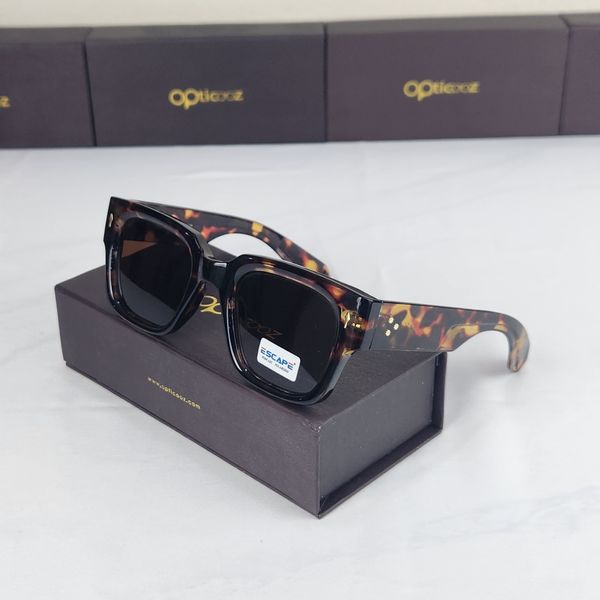 134  Premium Brand Oversize Sunglass