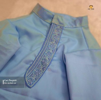 cat custome panjabi_img_0