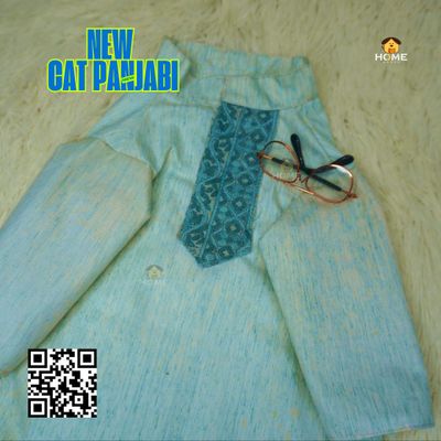 Cat panjabi (custome )_img_0