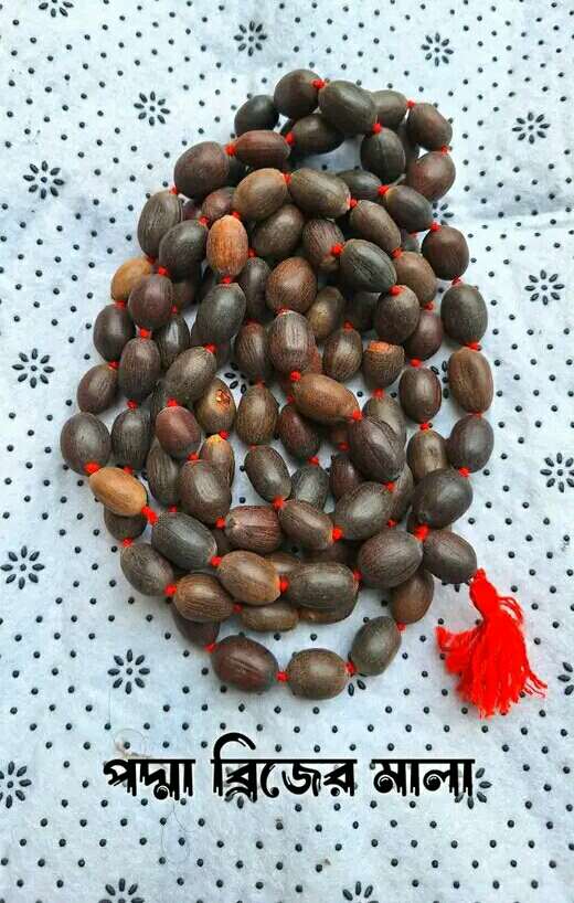 পদ্মবীজের মালা - Image 1