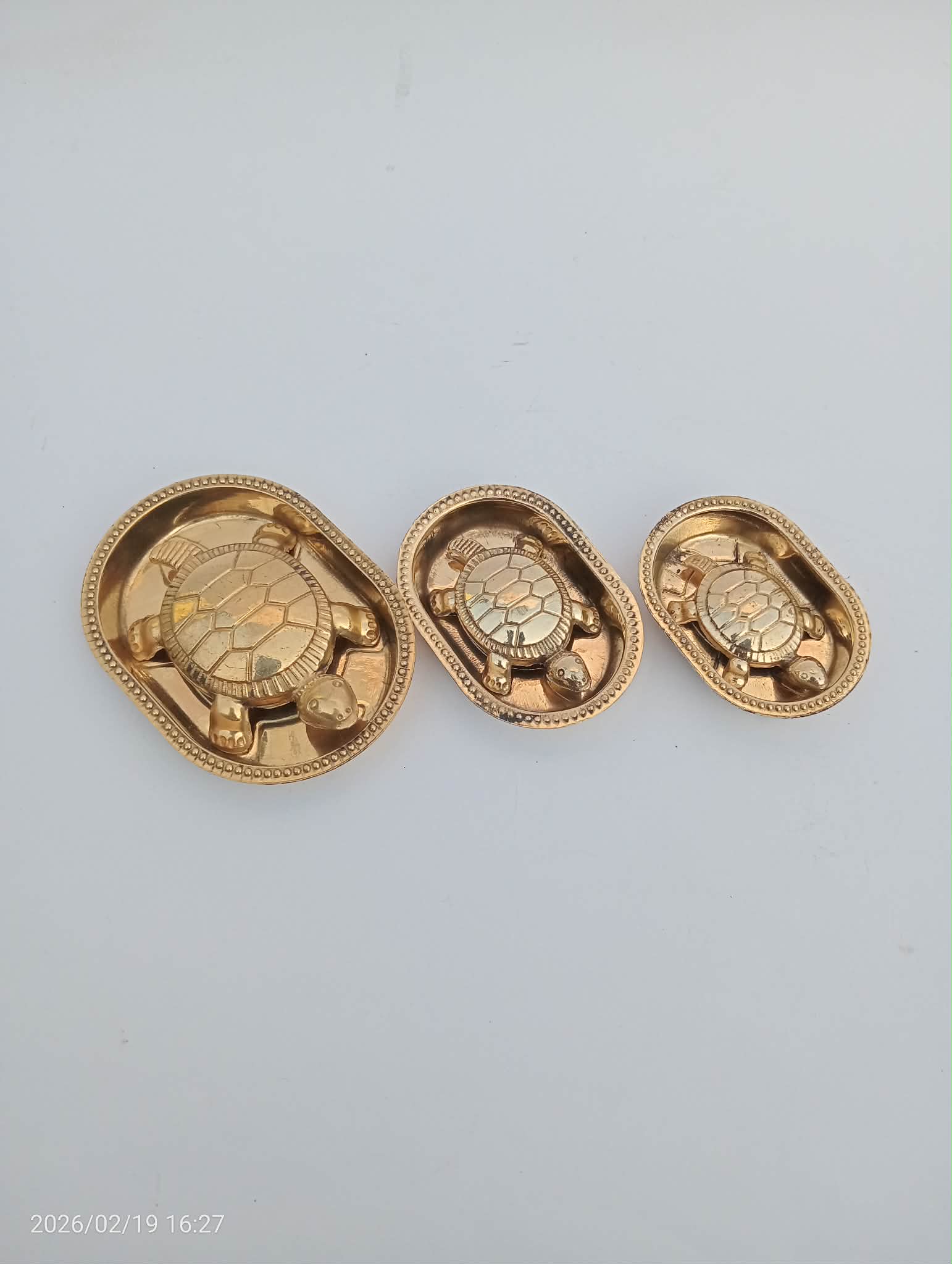 স্প্যাশাল কুর্মদেব - Image 1