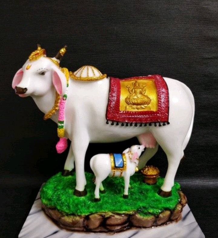 গোমাতা ফাইবার - Image 1