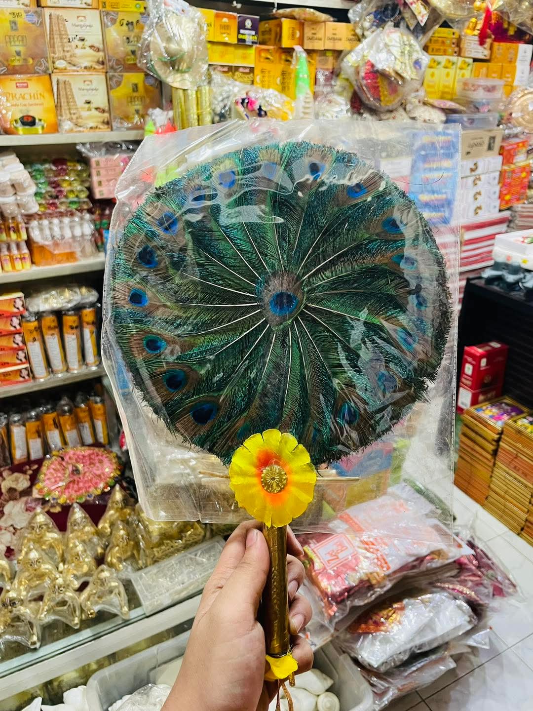 হেবী ময়ূর পাখা মিডিয়াম - Image 1