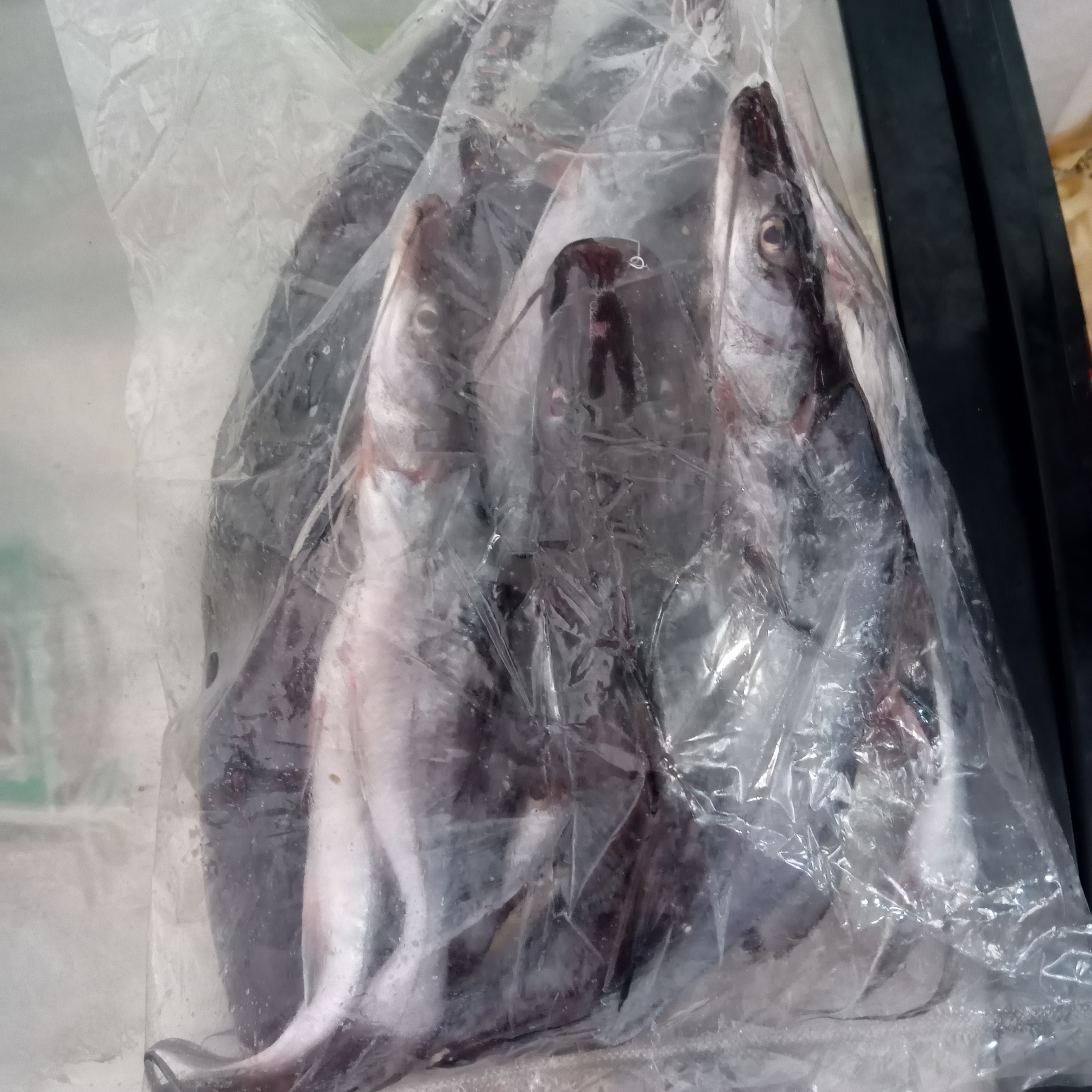 আইর 5থেকে6পি প্রতি কেজি