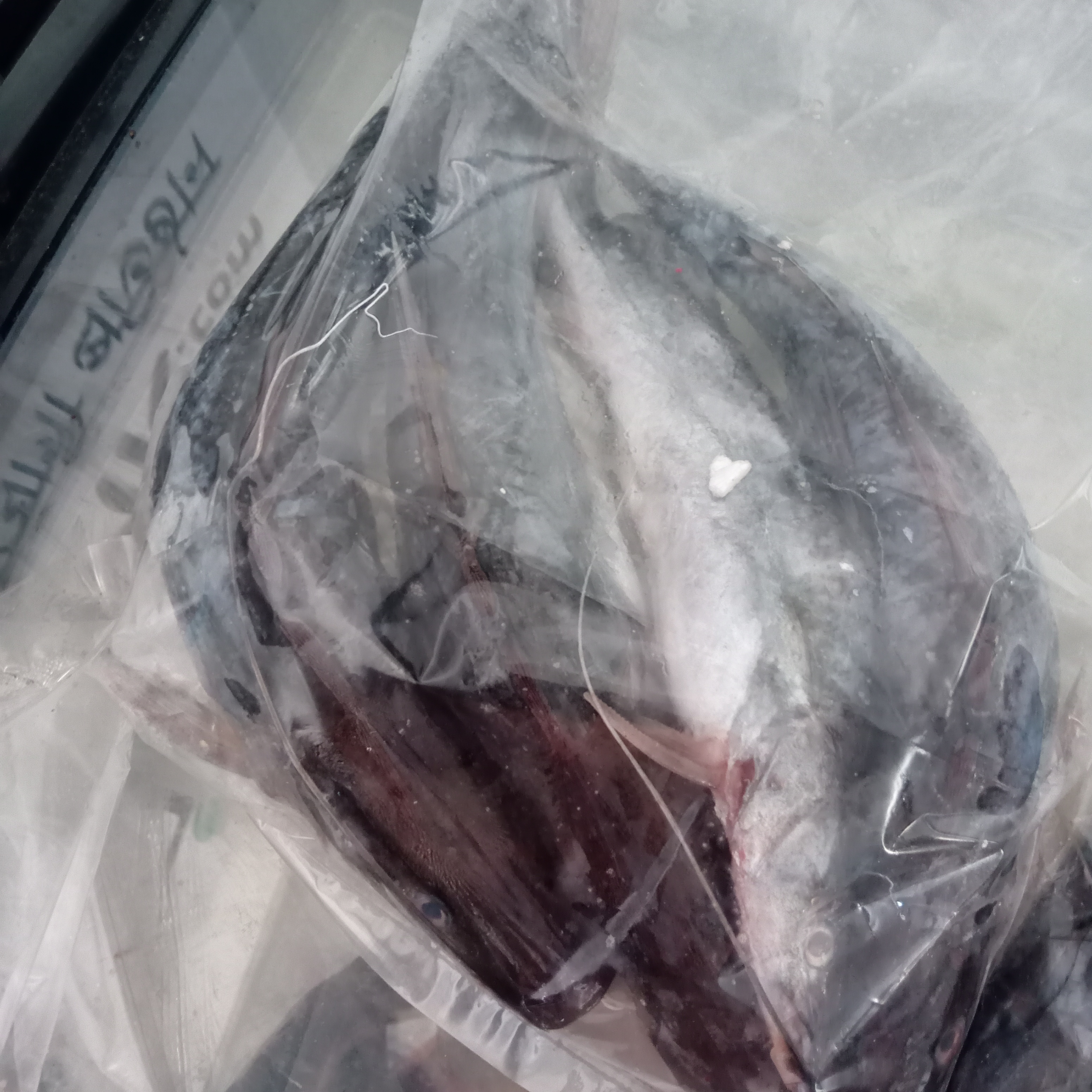 আইর মাছ বড় প্রতি কেজি_img_1