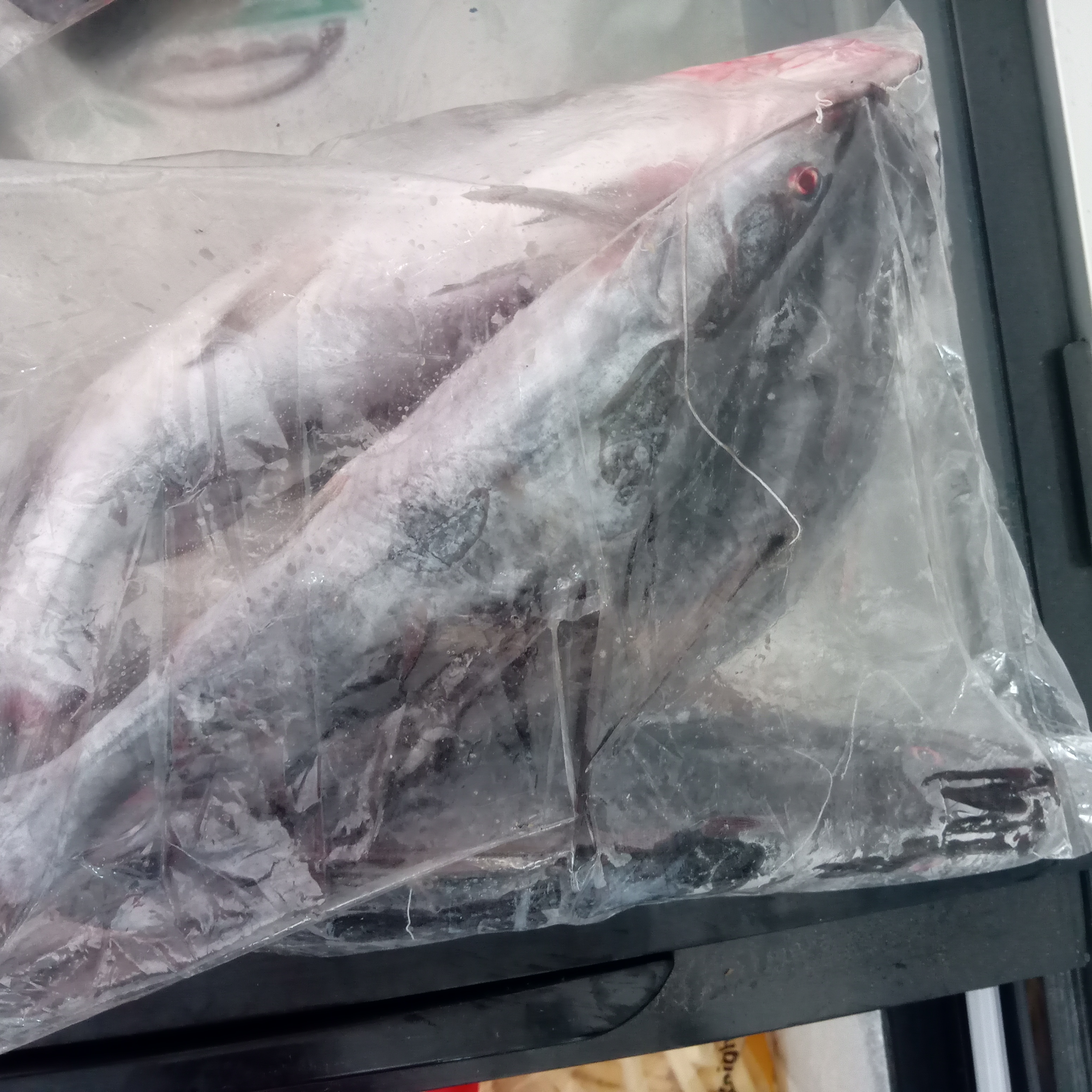 আইর মাছ বড় প্রতি কেজি