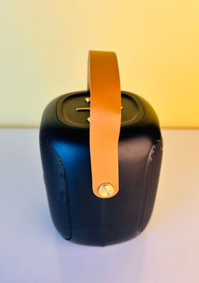 GreatNice GTS-1679 Portable Wireless Speaker_img_4