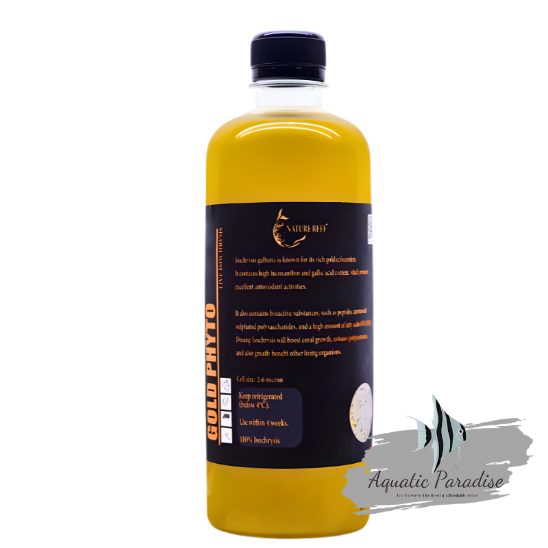 Gold Phyto (Isochrysis) 500 ml