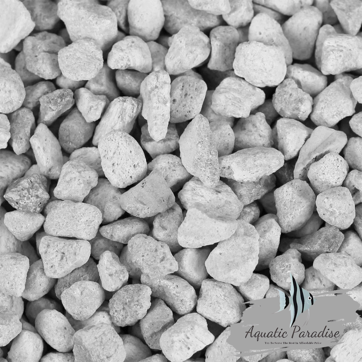 Seachem De*Nitrate (1L) – Biological Nitrate Removal_img_1