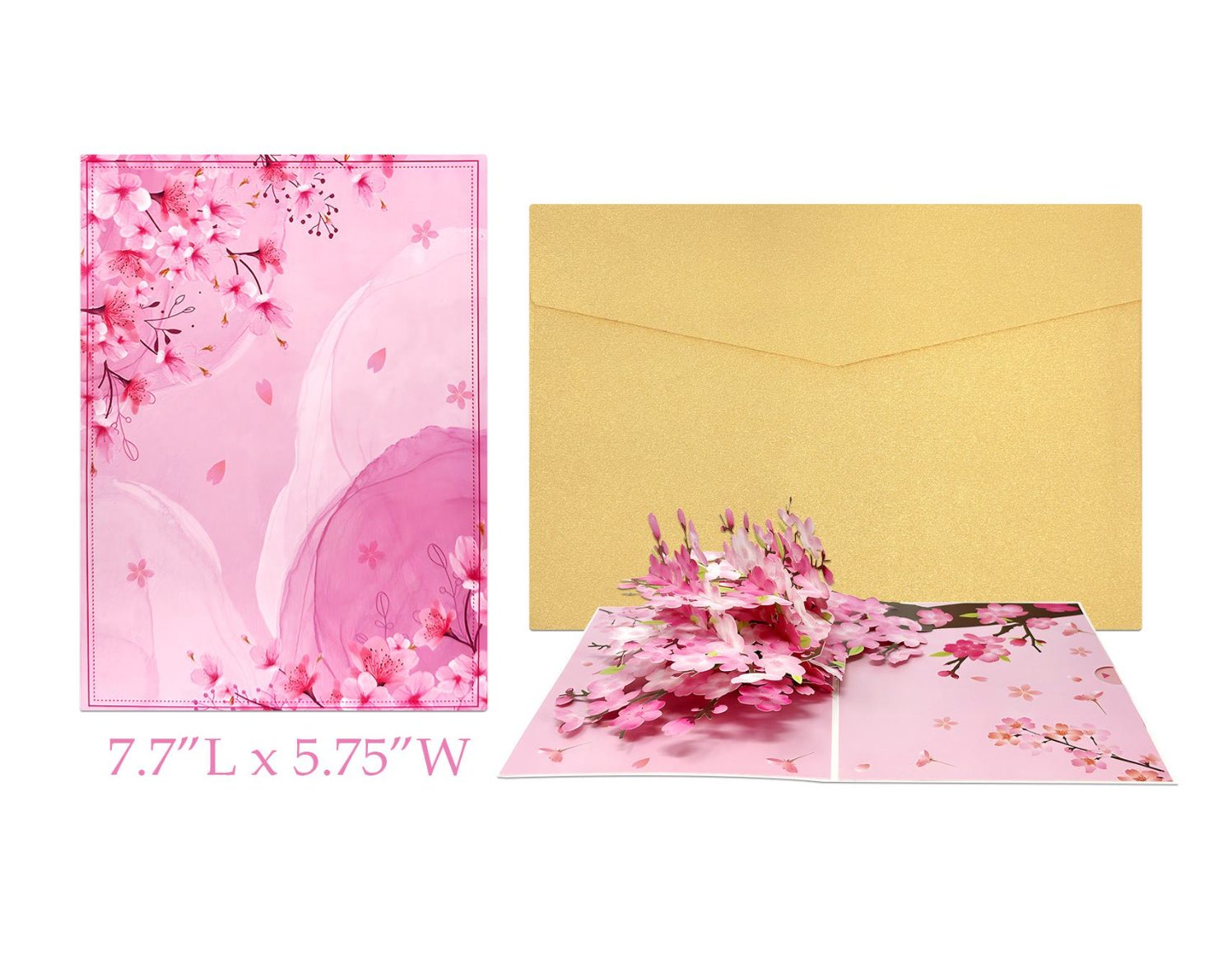 Pop-up Gift Cards + Premium Envelope_img_14
