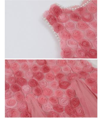 Baby Girl Rose Elegant Sleeveless Tulle Party Dress (1  to 7 years)_img_5