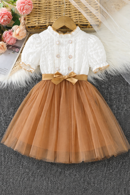 Kids Girls Princess White & Golden Tulle Party Dress (3 to 8 years)_img_1