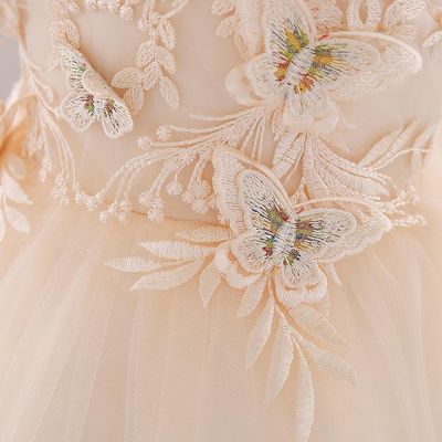 Kids Girls Elegant Princess Butterfly Embroidery Party Dress ( 6 to 24 months)_img_9