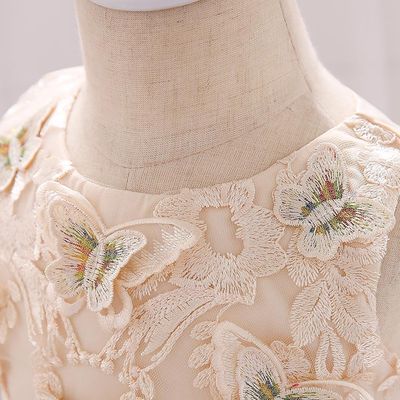 Kids Girls Elegant Princess Butterfly Embroidery Party Dress ( 6 to 24 months)_img_5